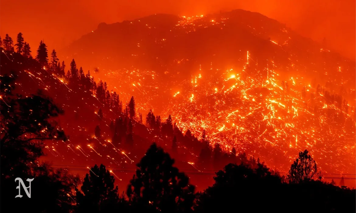 Latest Updates on the Current Southern California Wildfires