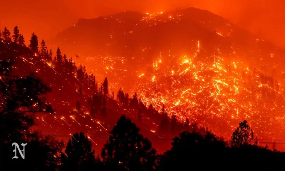 Latest Updates on the Current Southern California Wildfires