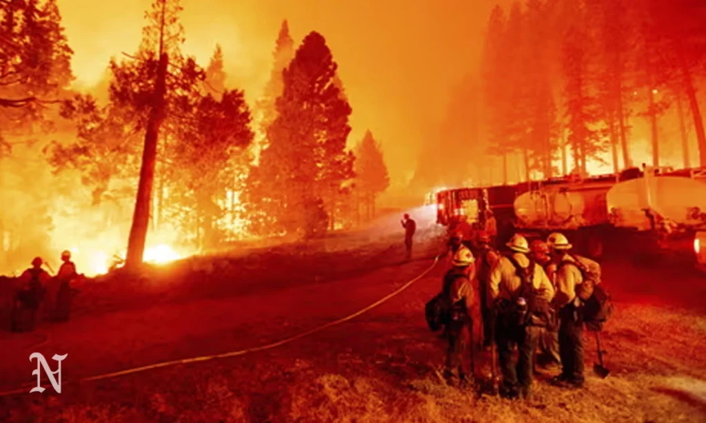 How Firefighters Are Working to Stop the Fires