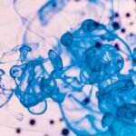 Kisspeptin-10: A Neuroendocrine Peptide with Expansive Potential