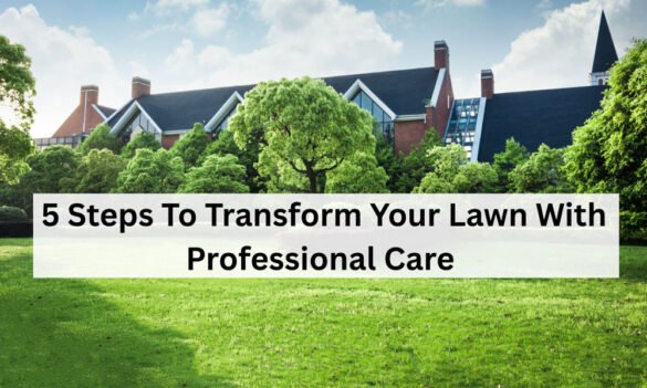 5 Steps To Transform Your Lawn With Professional Care