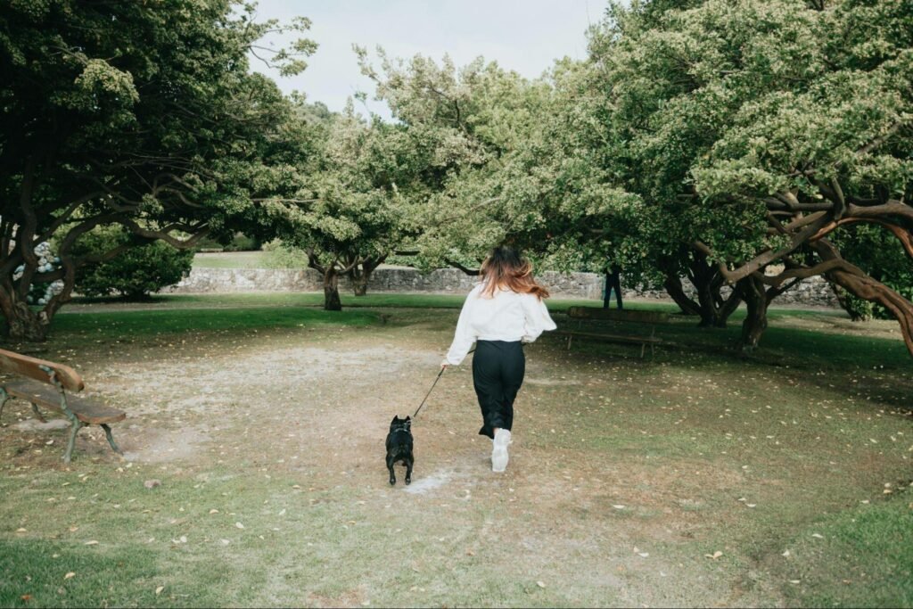 Urban Survival for the Overworked: Finding Calm Amid the Chaos
