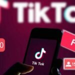 Increase TikTok Follower Count Organically in 30 Days!