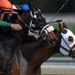 Understanding Online Horse Betting for Beginners