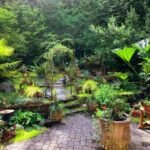 Charming Outdoor Additions That Make Every Season More Beautiful